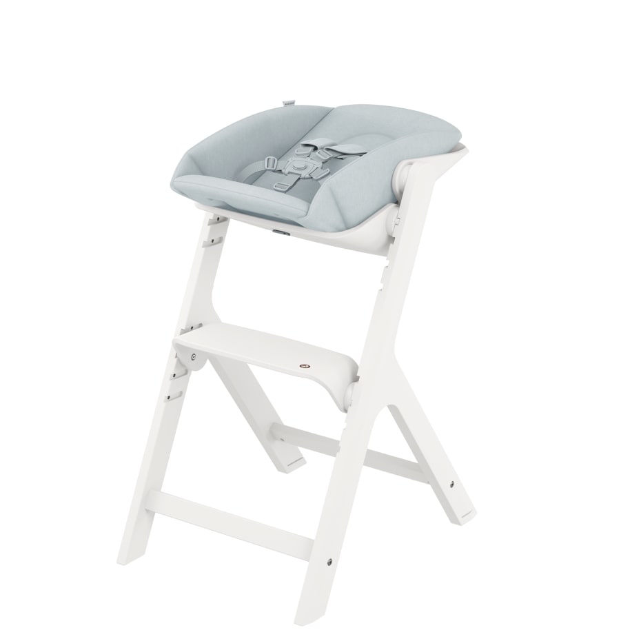 Reclining high chair from birth online
