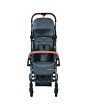 1232956110_2019_maxicosi_stroller_travelsystem_laika_grey_sparklinggrey_front