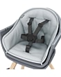 2710043110_2021_13_maxicosi_homeequipment_highchair_moa_grey_beyondgraphite_removablewashable5pointharness_zoom_new